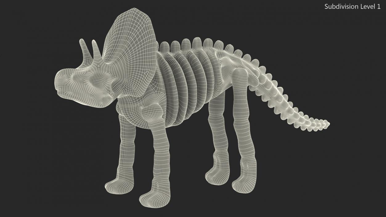 3D Triceratops Dinosaur Skeleton Toy model