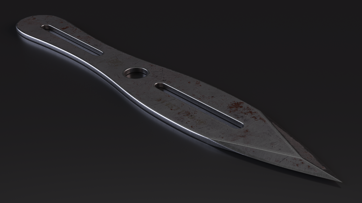 Broadhead Throwing Knife Used 3D model