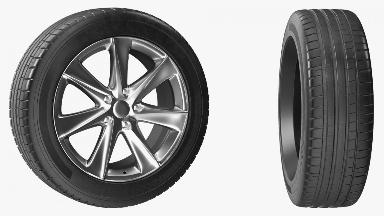 Car Wheel Rim Carrying Tire 3D