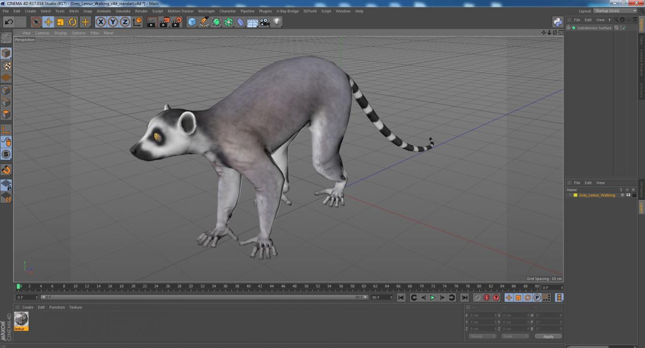 3D Grey Lemur Walking model