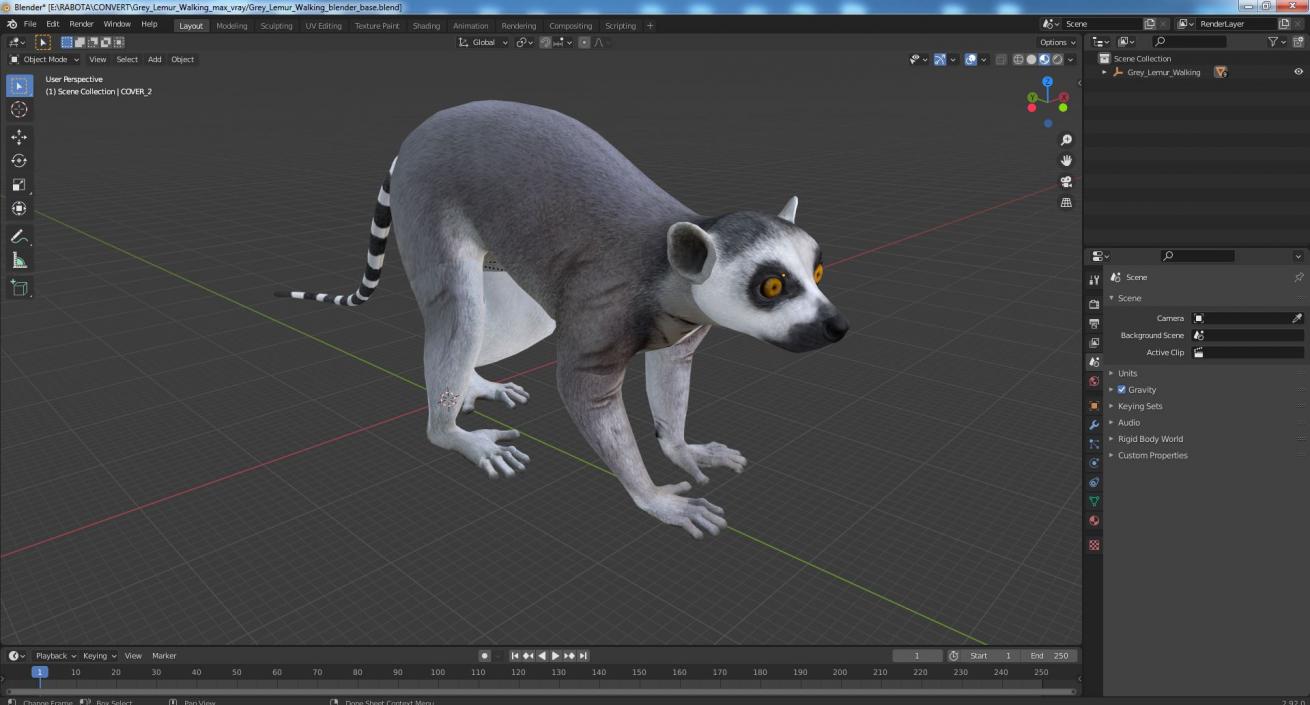 3D Grey Lemur Walking model