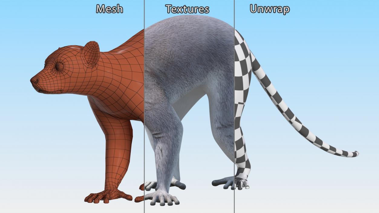 3D Grey Lemur Walking model