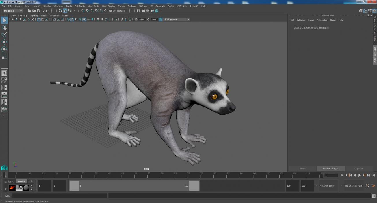 3D Grey Lemur Walking model