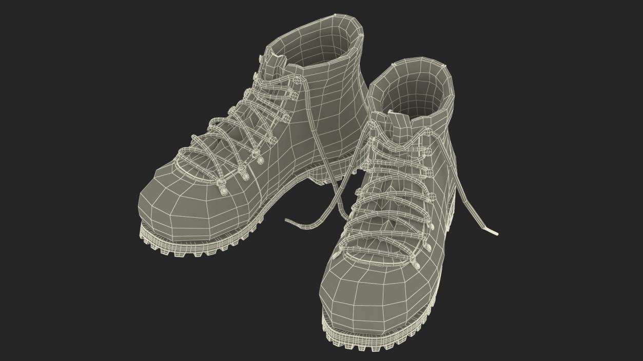 3D Mountain Hiking Boots