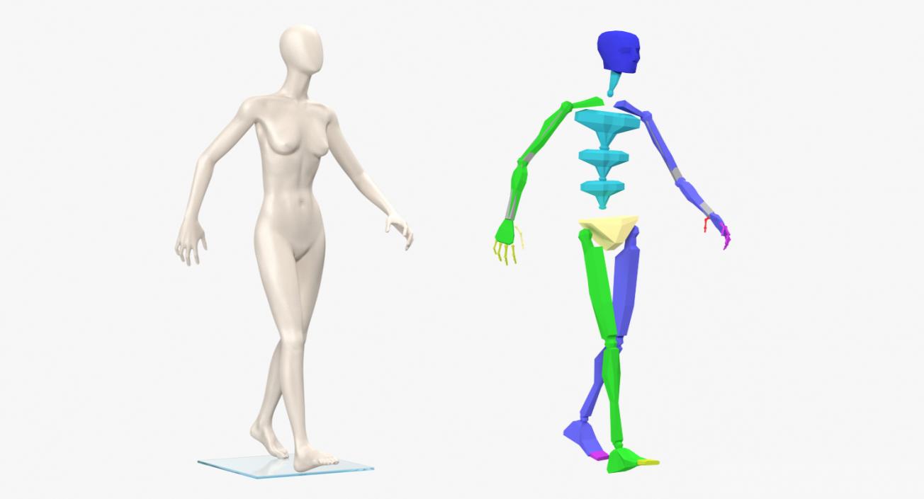 3D Rigged Mannequins Collection model