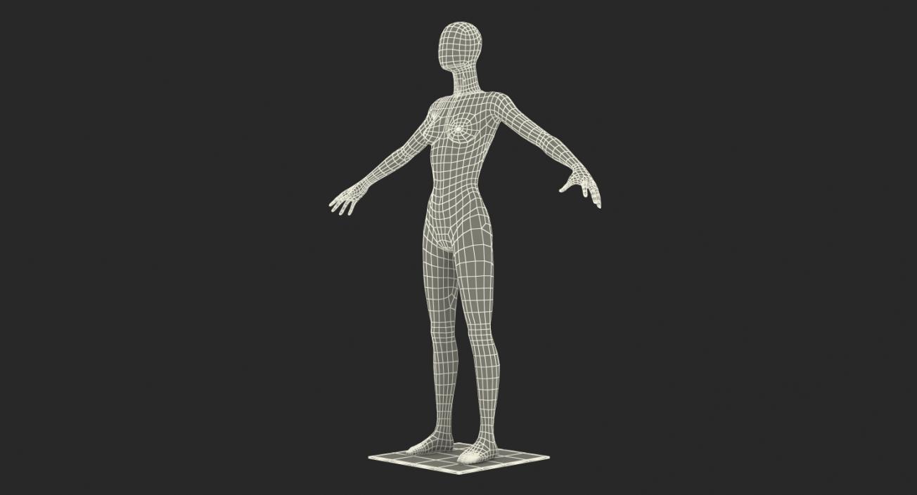 3D Rigged Mannequins Collection model