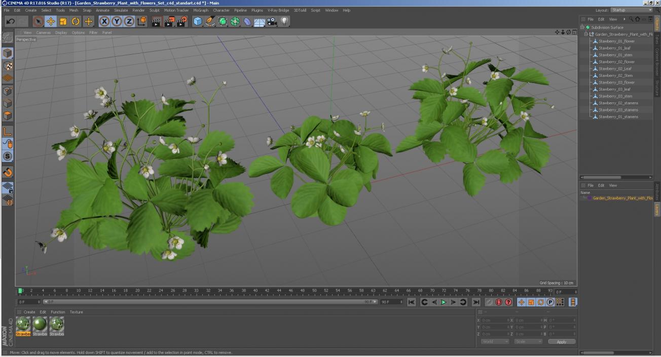 3D model Garden Strawberry Plant with Flowers Set
