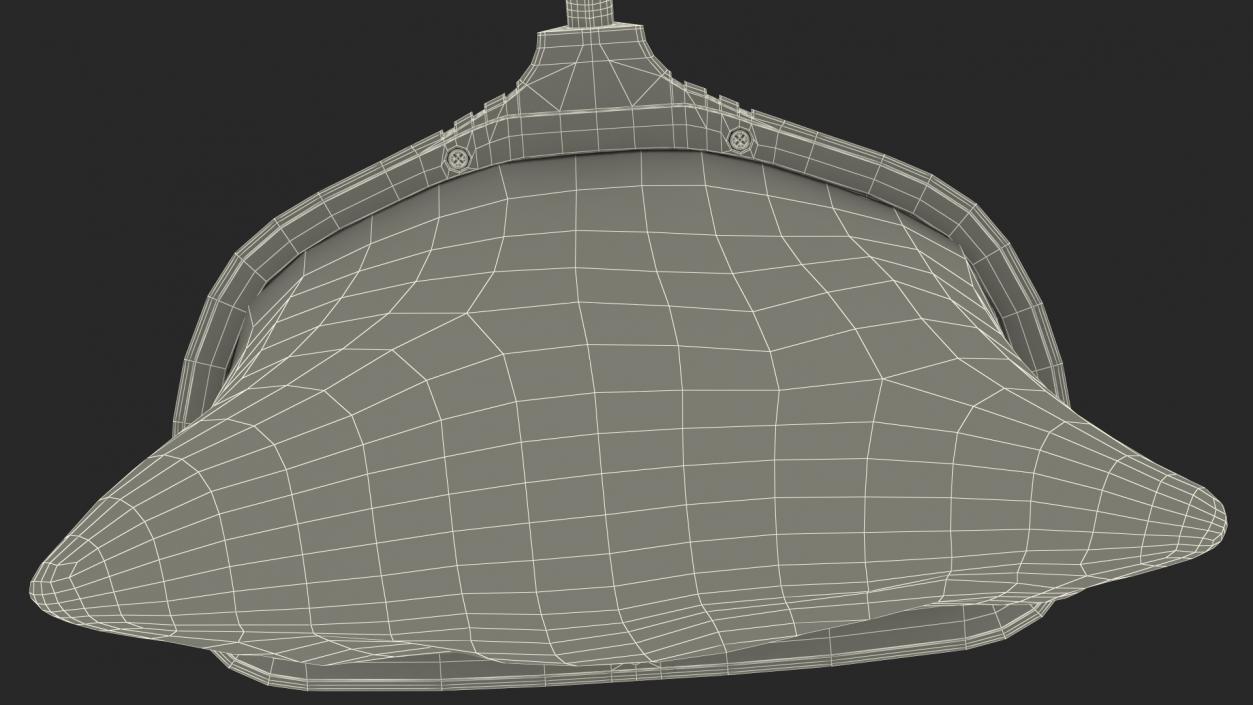 3D Deep Water Leaf Skimmer model