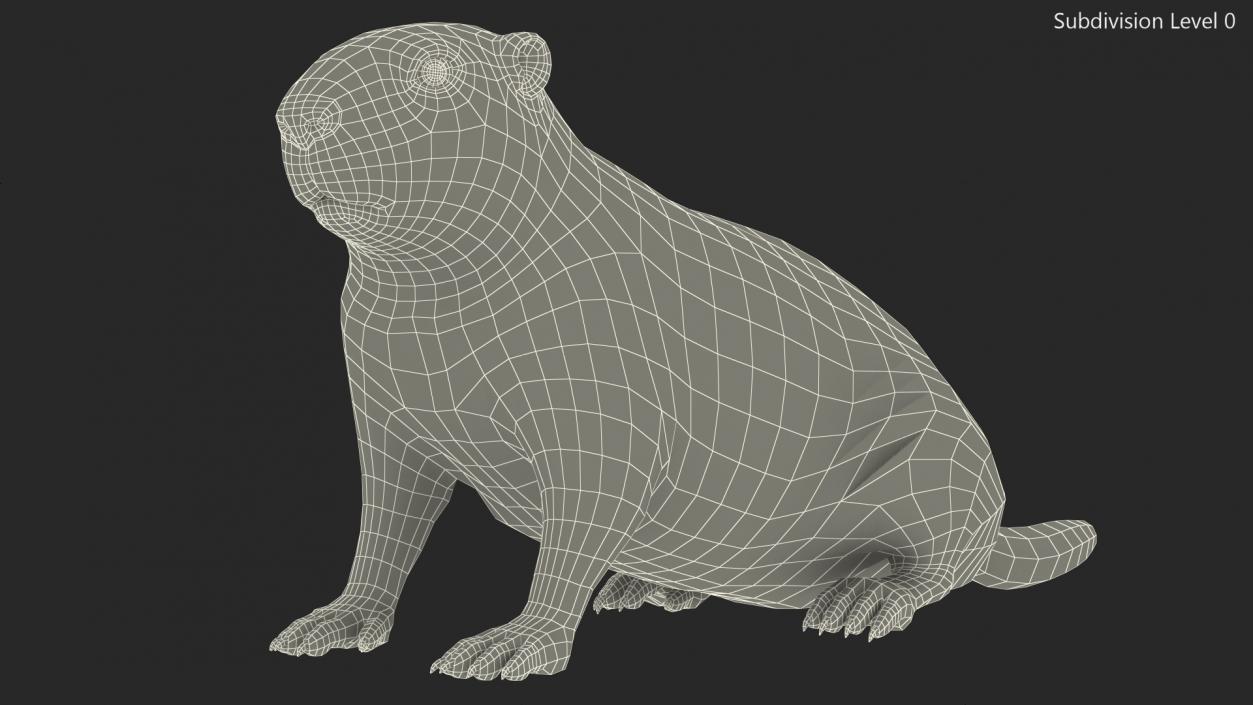 3D Sitting Ground Squirrel model