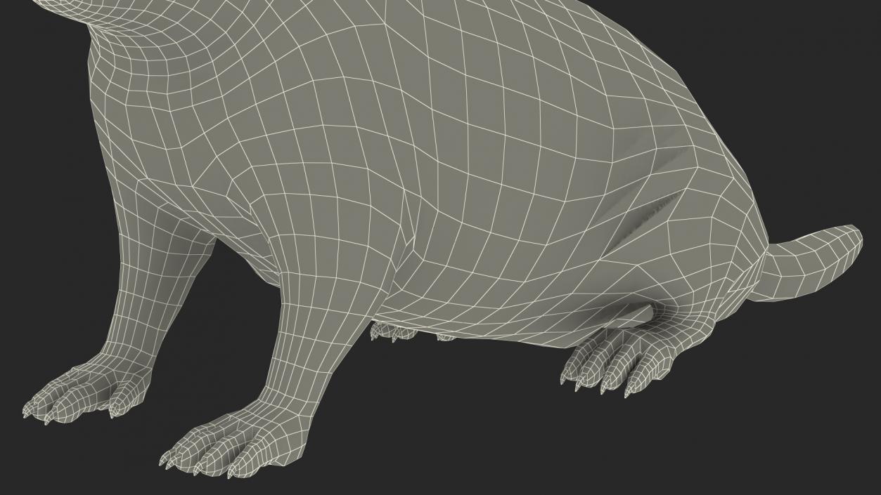 3D Sitting Ground Squirrel model