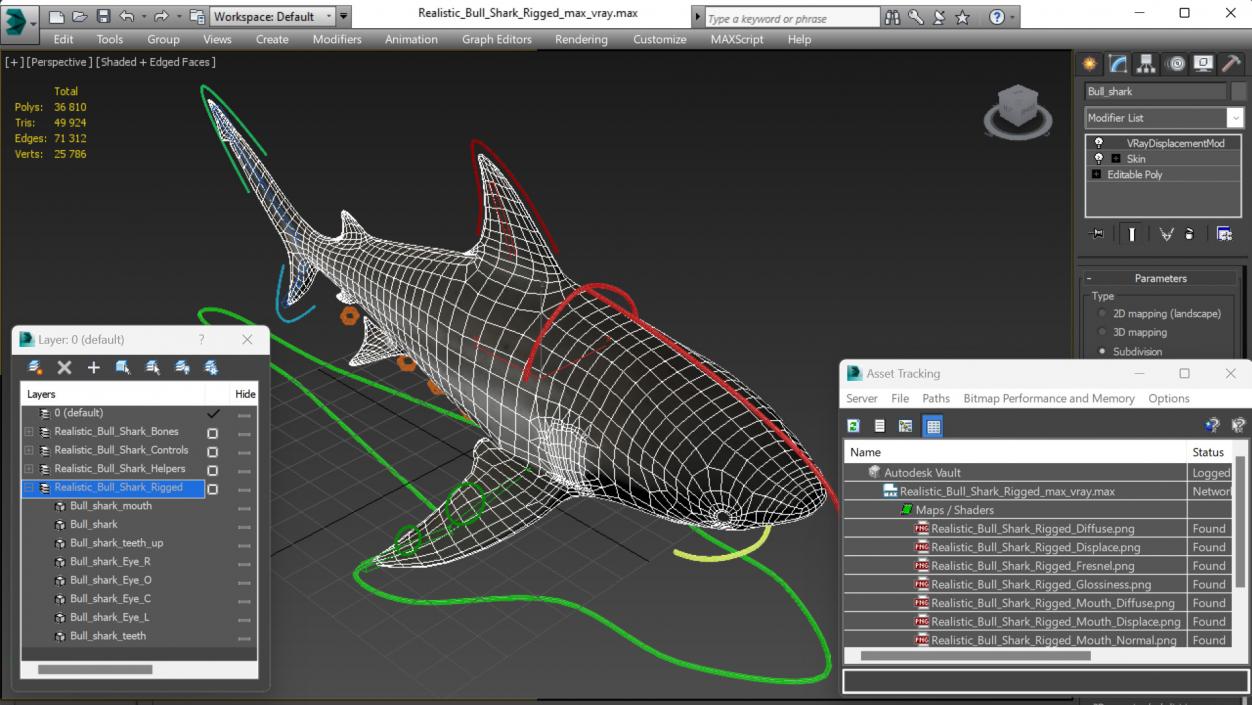 Realistic Bull Shark Rigged 3D