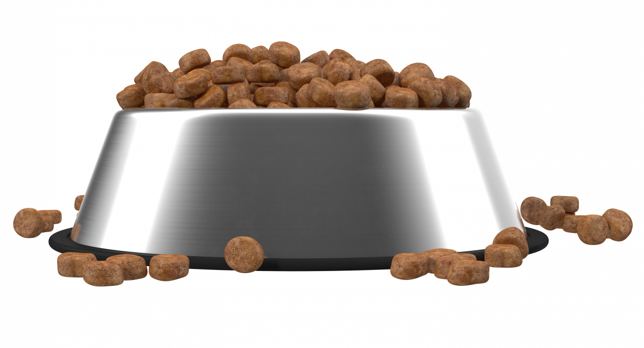 3D Dry Dog Food Stainless Steel Bowl model