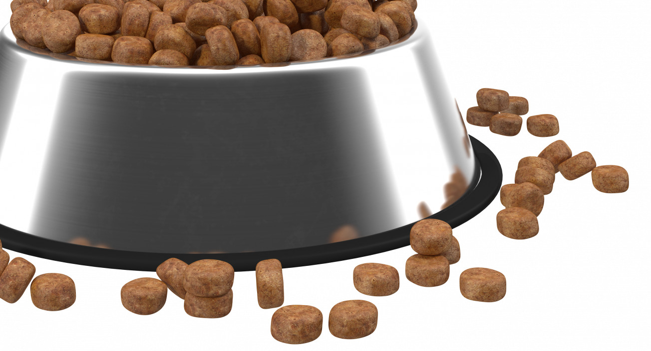 3D Dry Dog Food Stainless Steel Bowl model