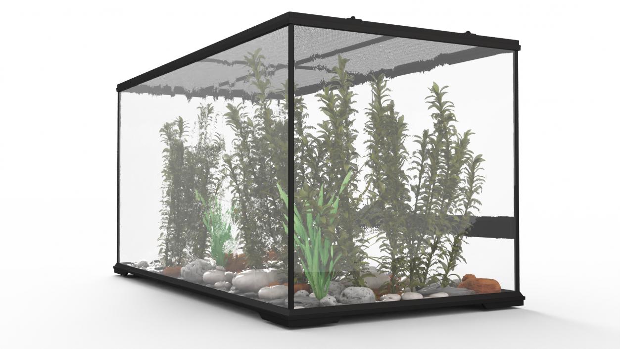 3D Exotic Plants Long Terrarium model