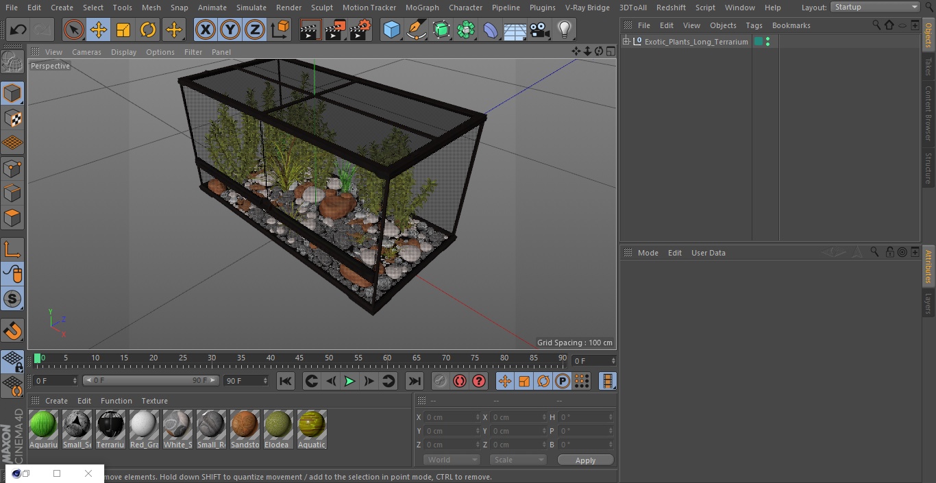 3D Exotic Plants Long Terrarium model