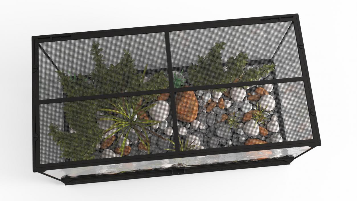 3D Exotic Plants Long Terrarium model