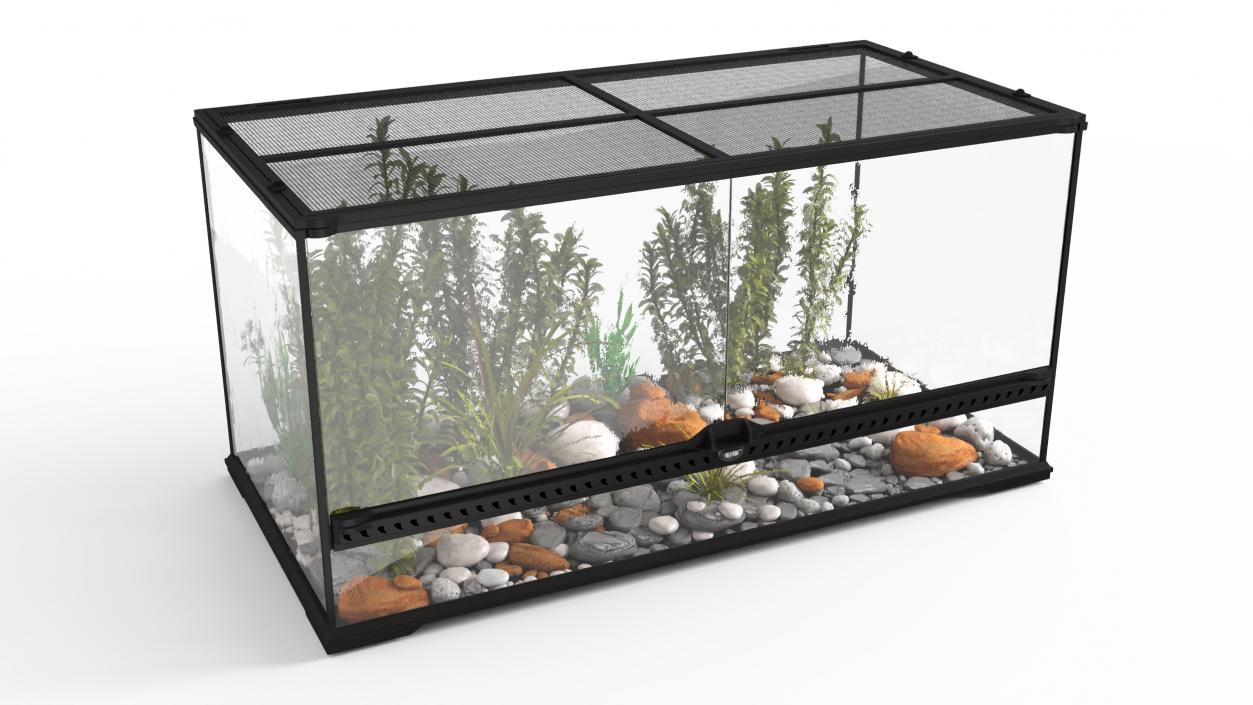 3D Exotic Plants Long Terrarium model