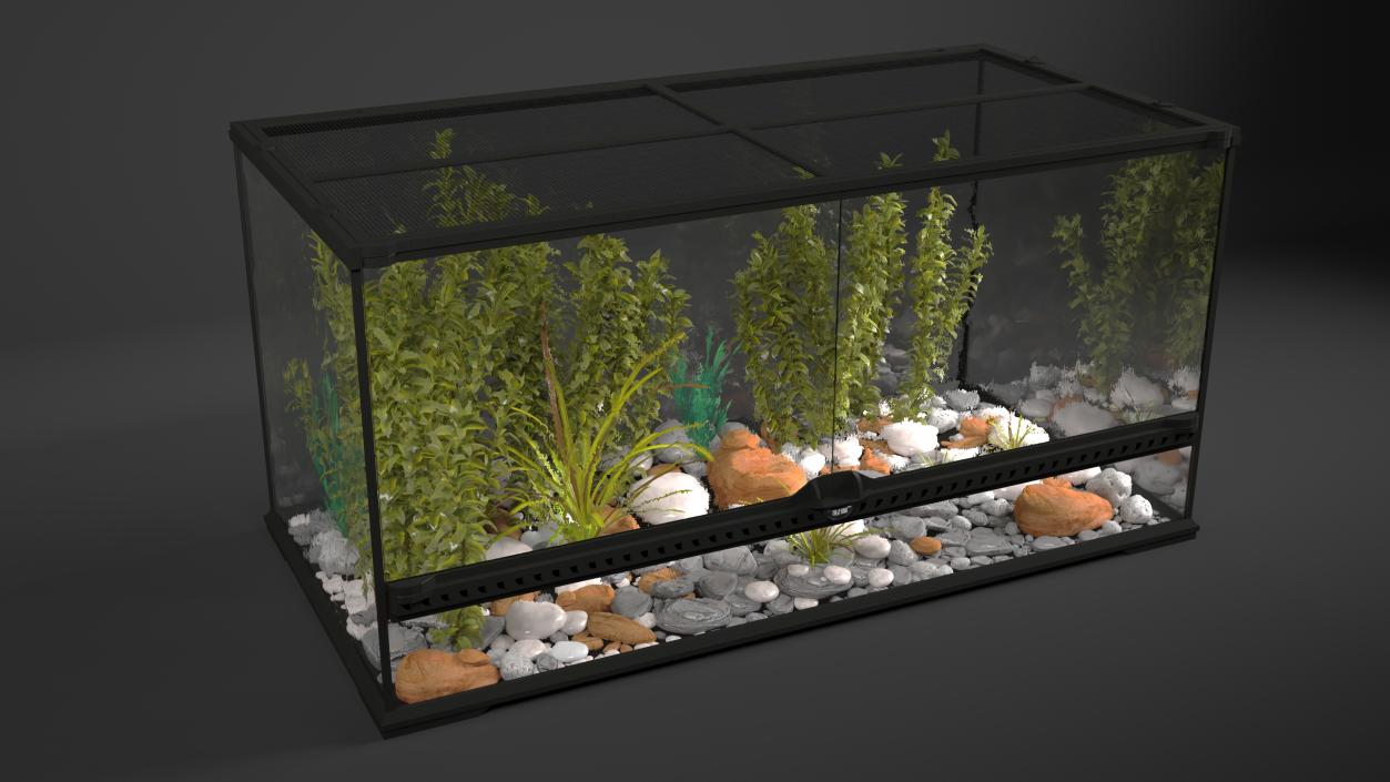 3D Exotic Plants Long Terrarium model