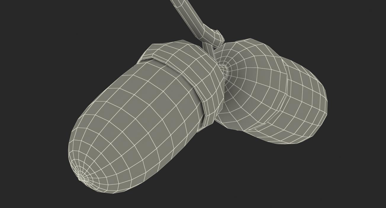 3D model Two Acorns on Branch