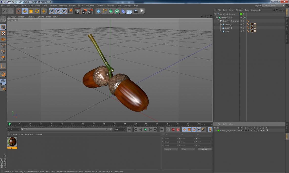 3D model Two Acorns on Branch