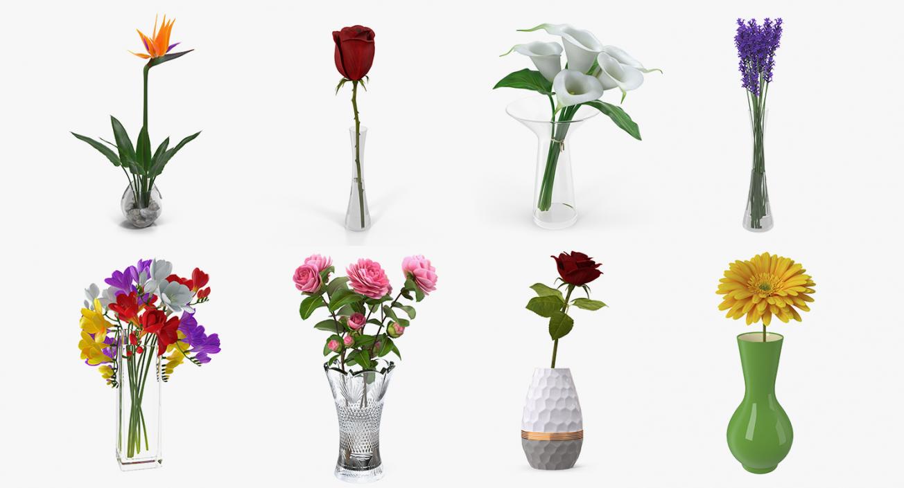 Flowers in Vases Collection 2 3D model