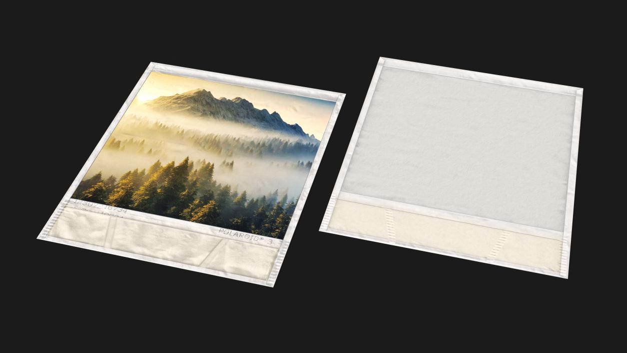 3D Polaroid Instant Photo Frame with Landscape model