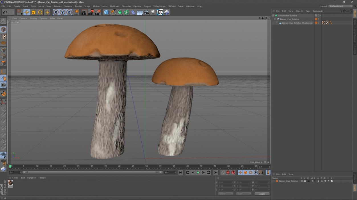 Brown Cap Boletus 2 3D model