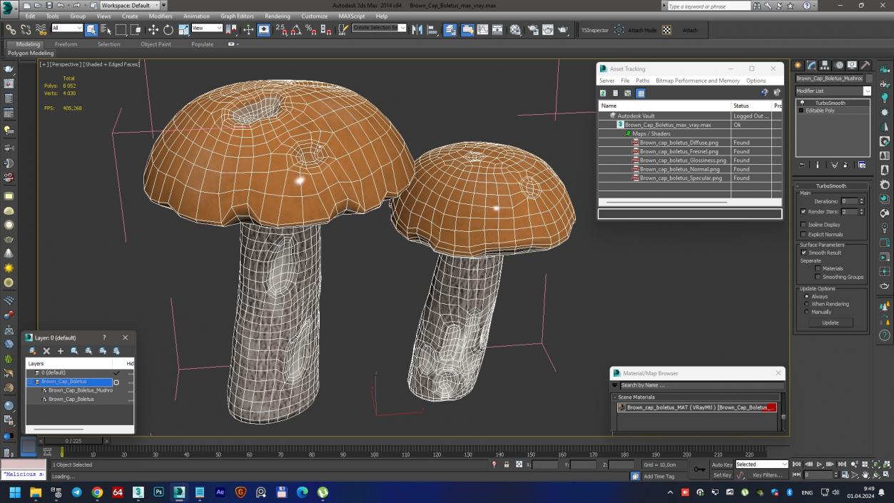 Brown Cap Boletus 2 3D model