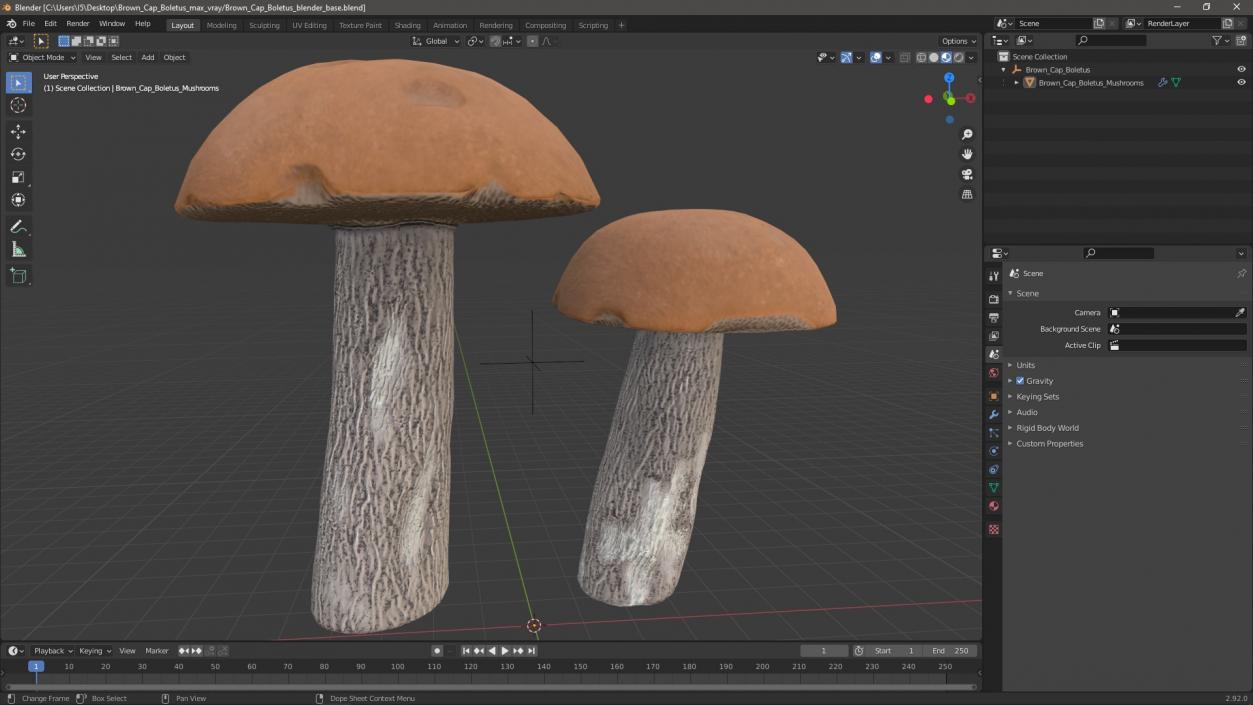 Brown Cap Boletus 2 3D model