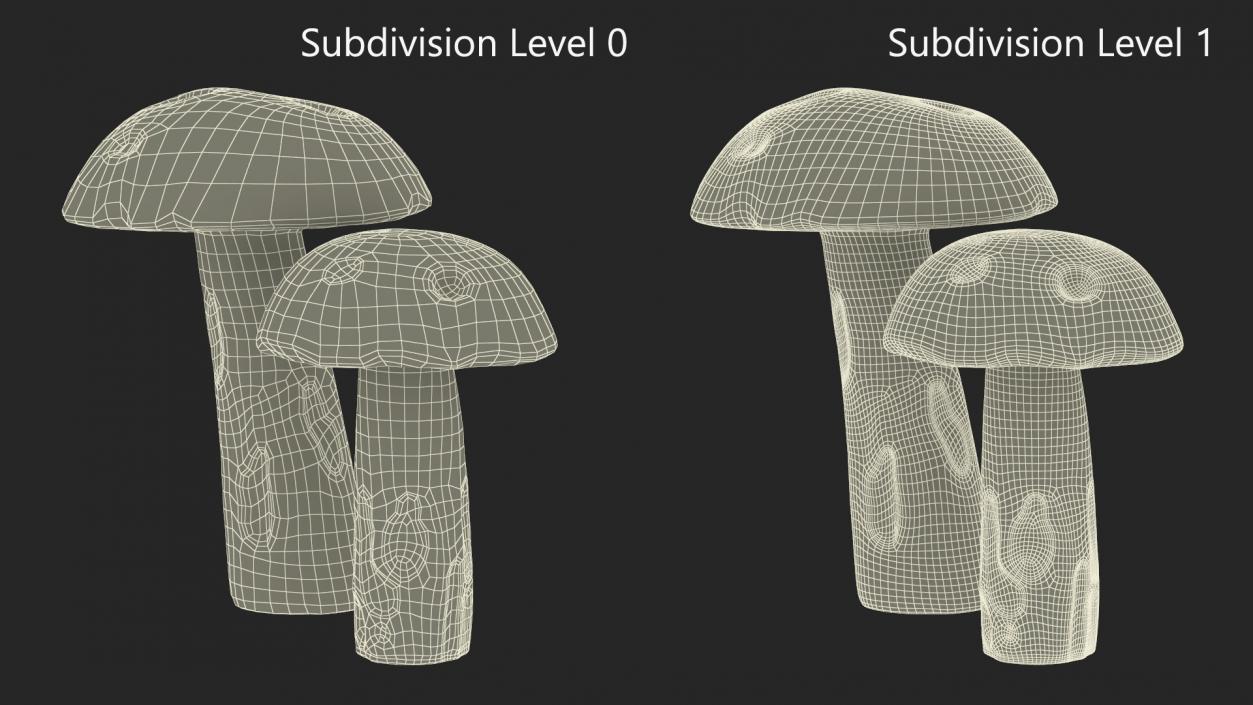 Brown Cap Boletus 2 3D model