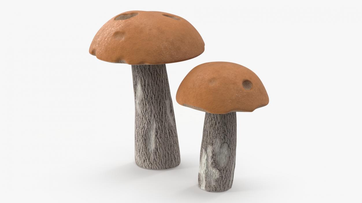 Brown Cap Boletus 2 3D model