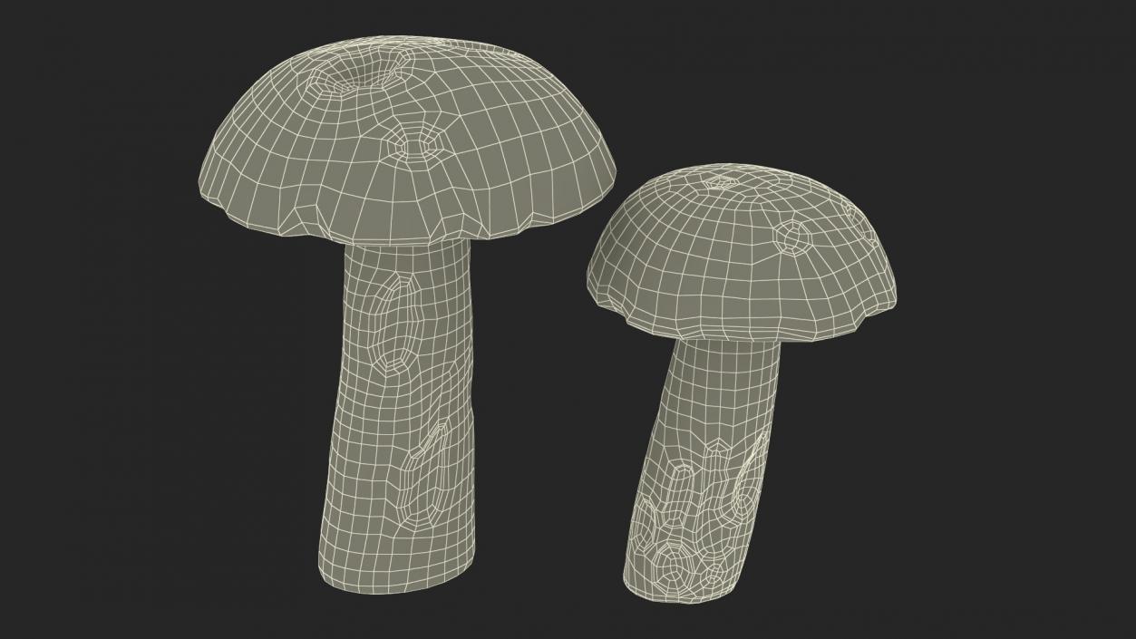 Brown Cap Boletus 2 3D model