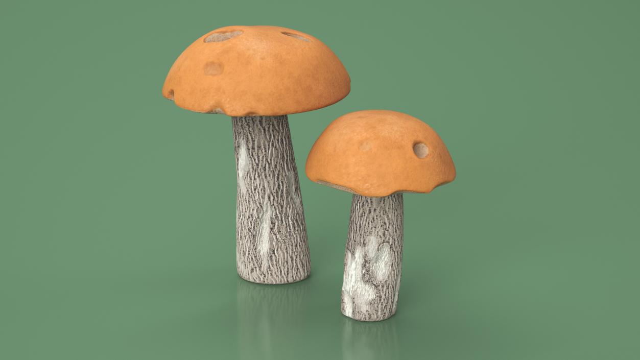 Brown Cap Boletus 2 3D model