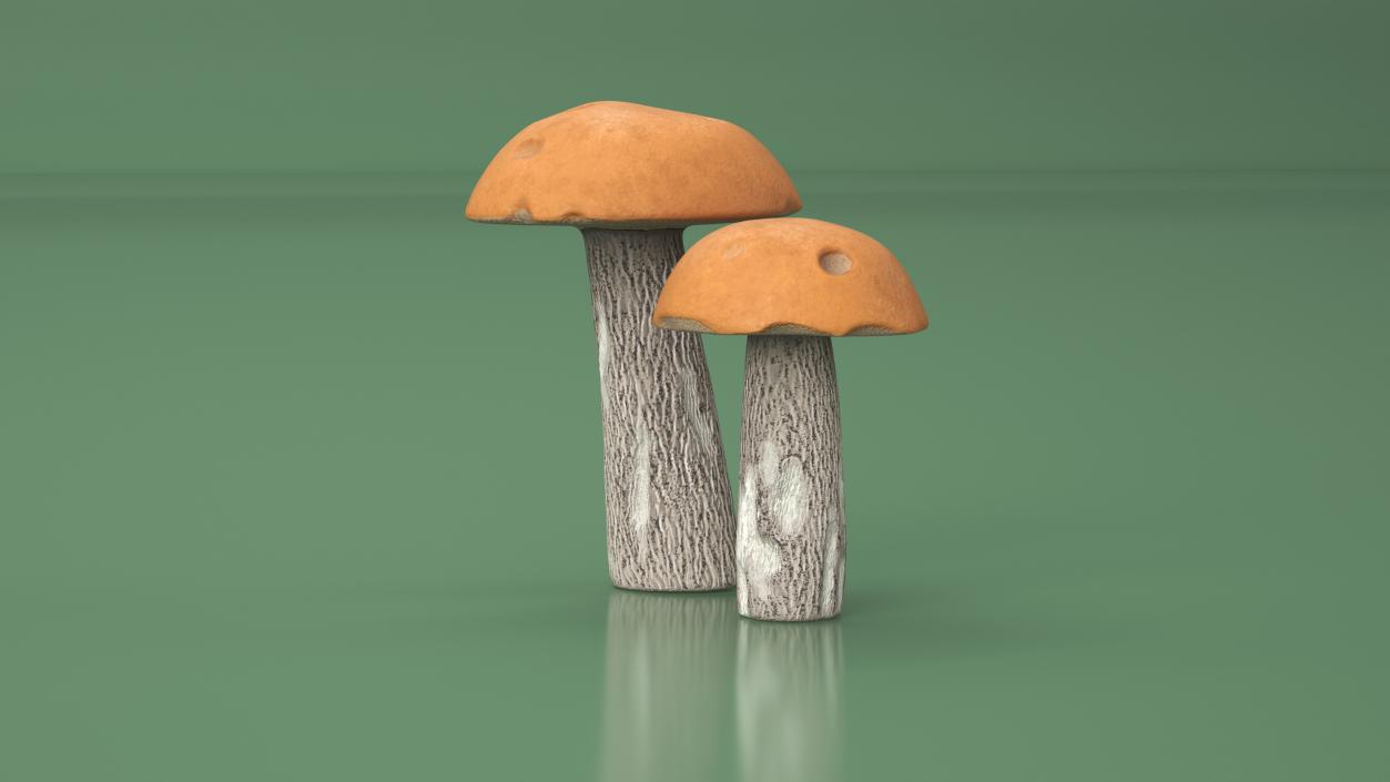 Brown Cap Boletus 2 3D model