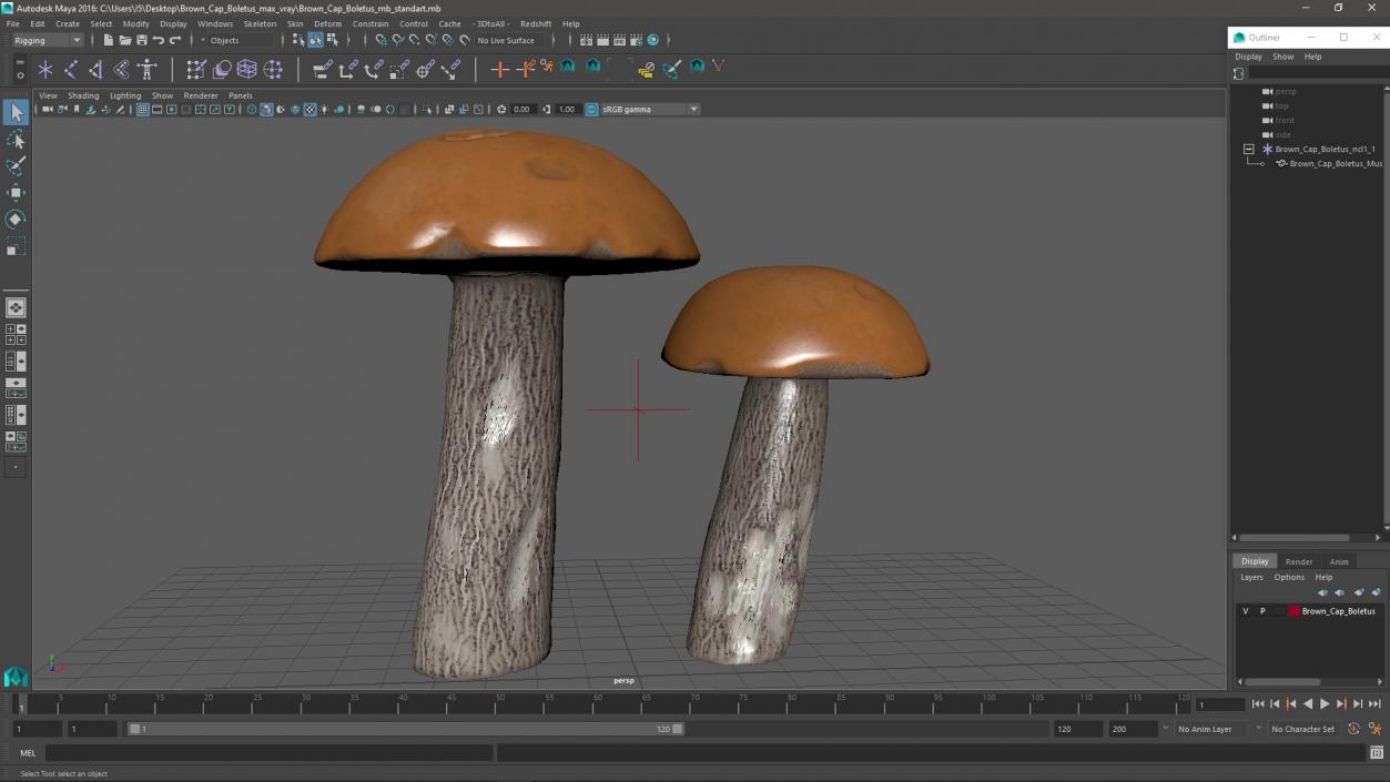 Brown Cap Boletus 2 3D model