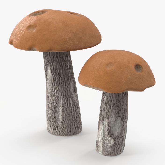 Brown Cap Boletus 2 3D model