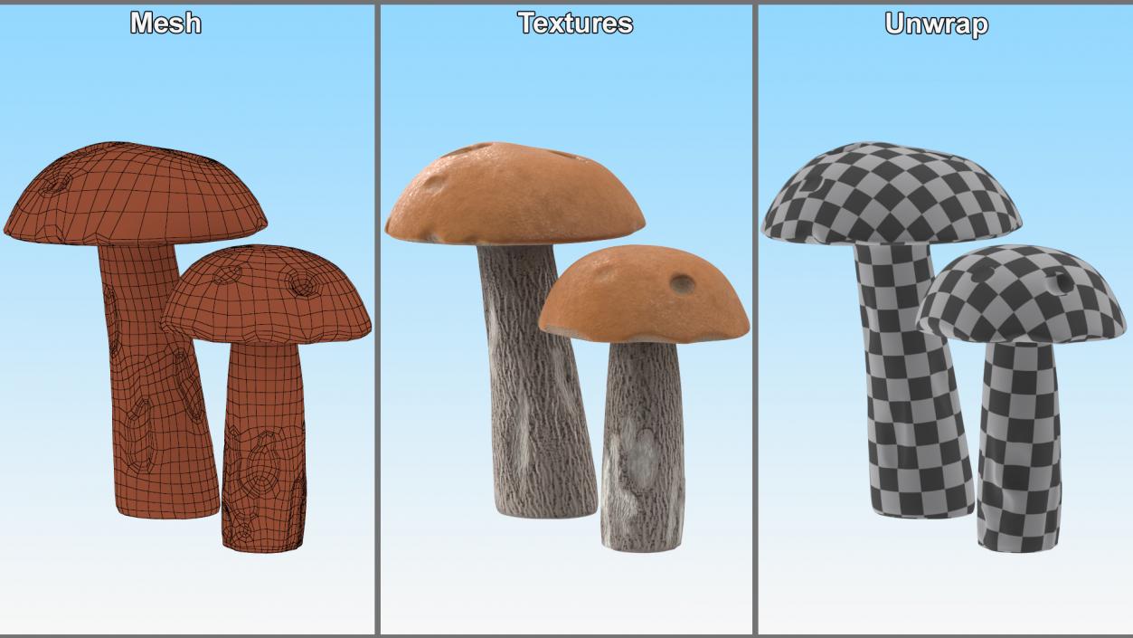 Brown Cap Boletus 2 3D model