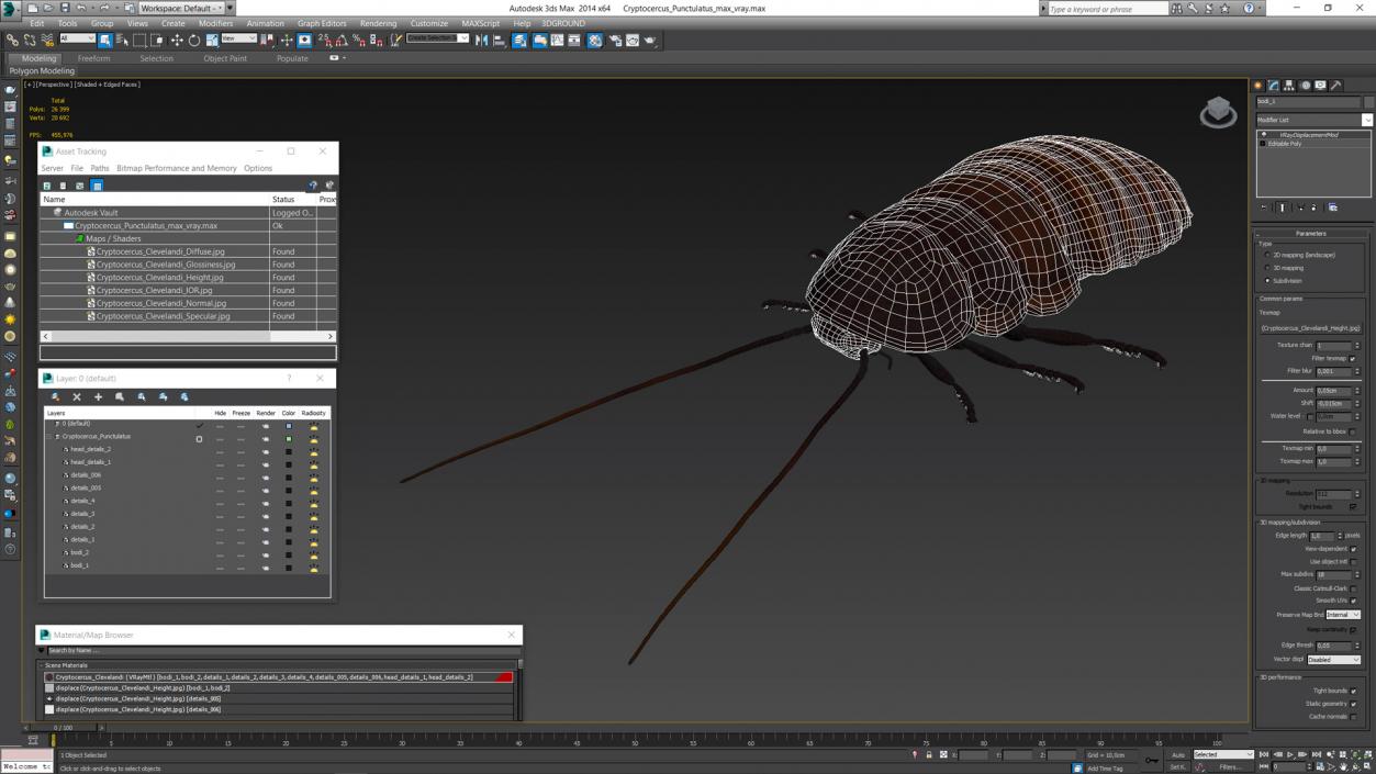 Cryptocercus Punctulatus 3D model