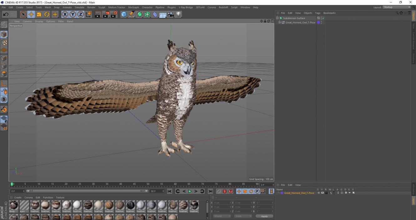 3D Great Horned Owl T-Pose model