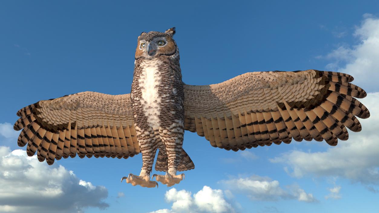 3D Great Horned Owl T-Pose model