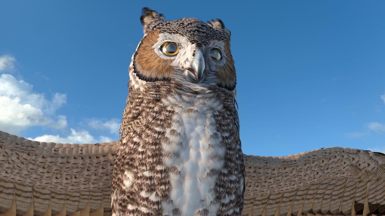 3D Great Horned Owl T-Pose model