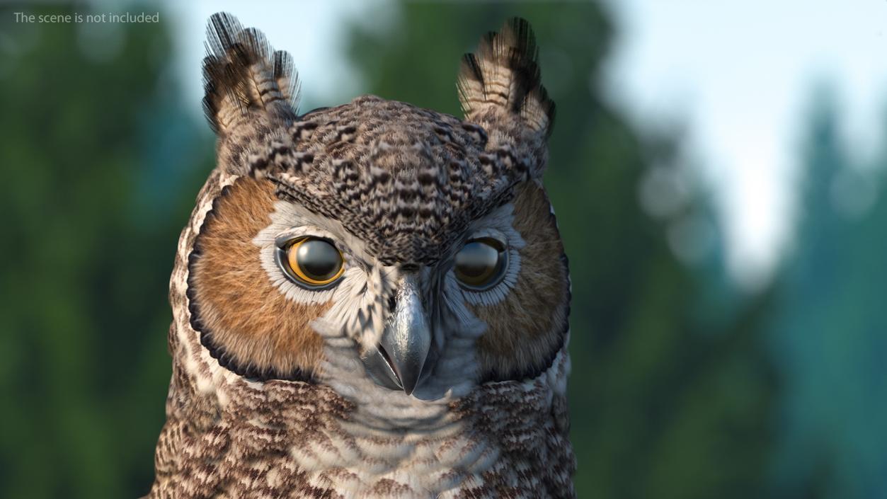 3D Great Horned Owl T-Pose model