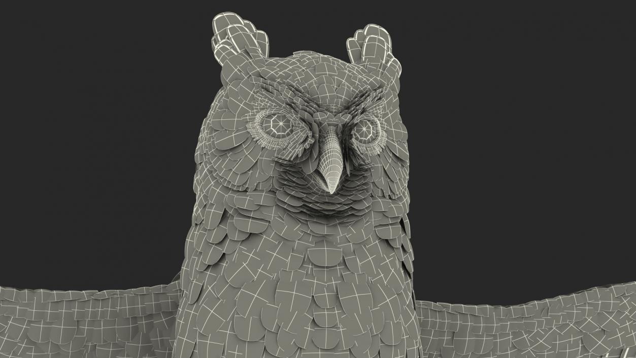 3D Great Horned Owl T-Pose model