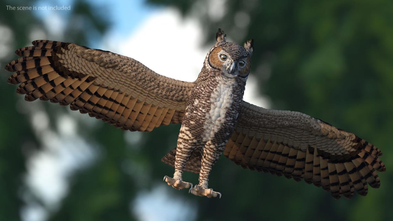 3D Great Horned Owl T-Pose model