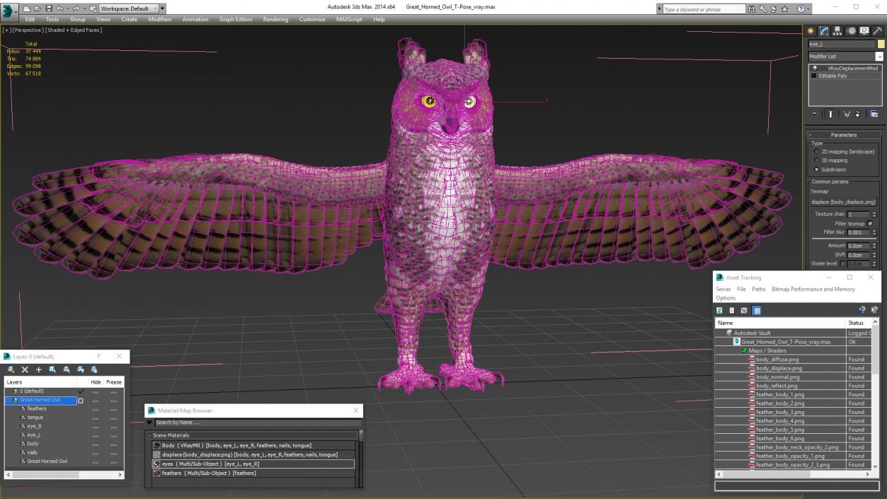 3D Great Horned Owl T-Pose model