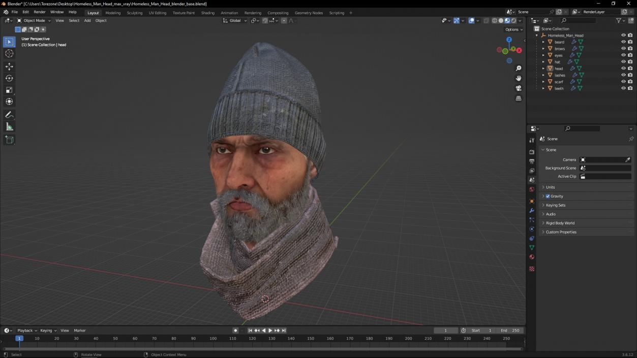 Homeless Man Head 3D