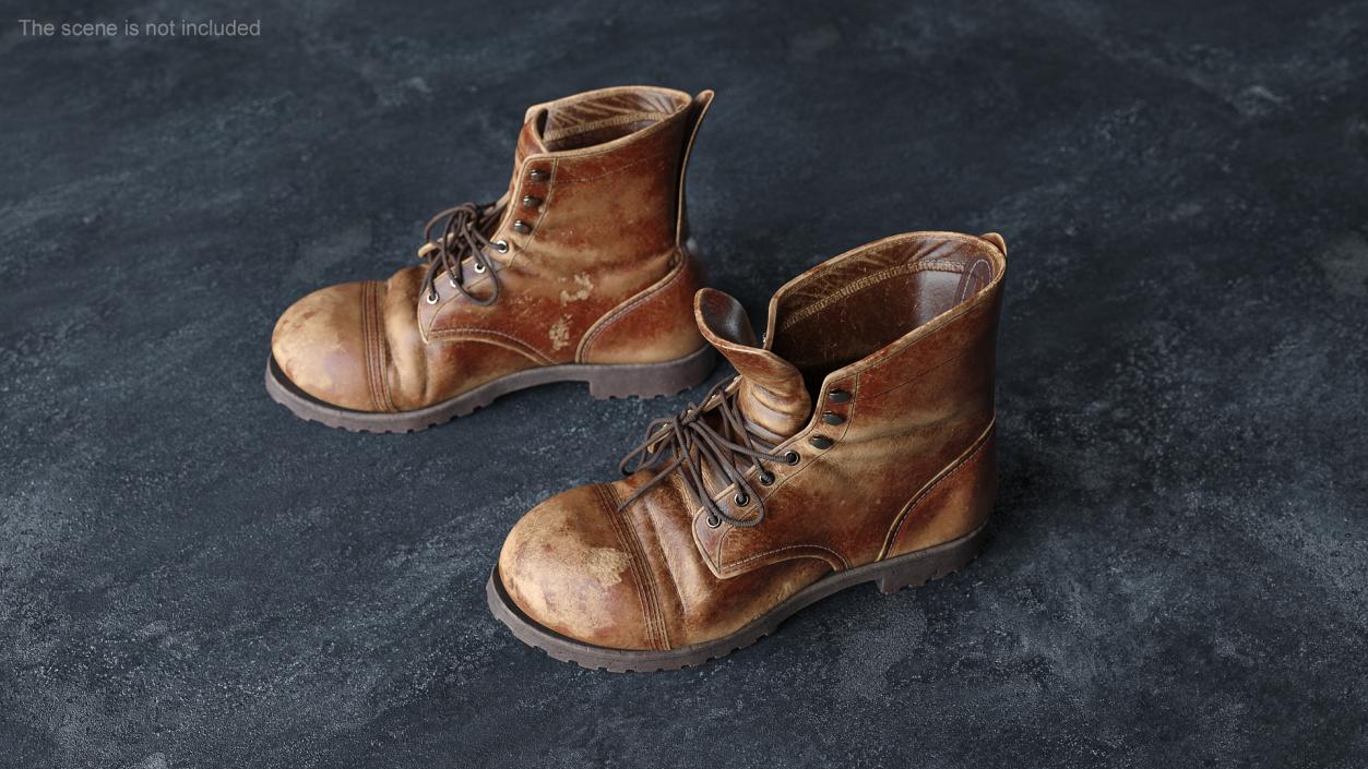 Old Boots 3D model