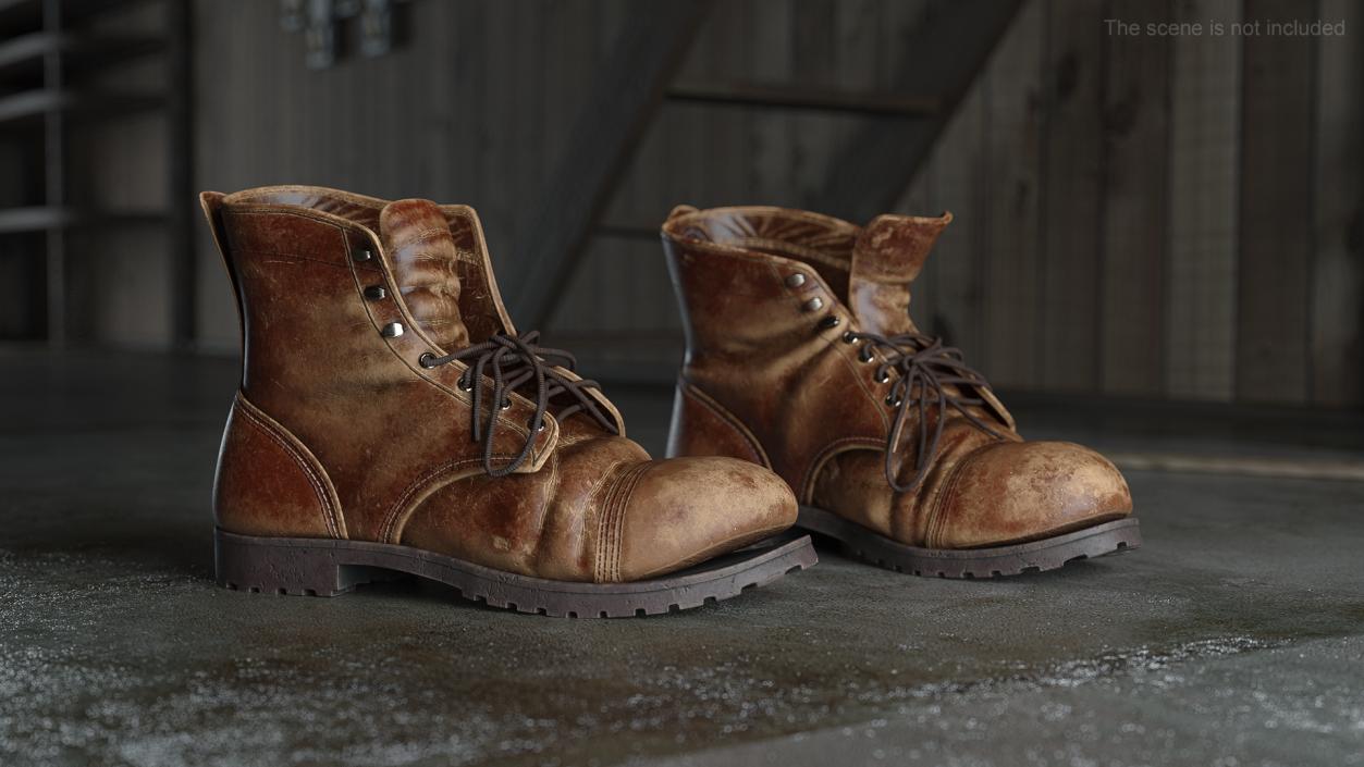 Old Boots 3D model