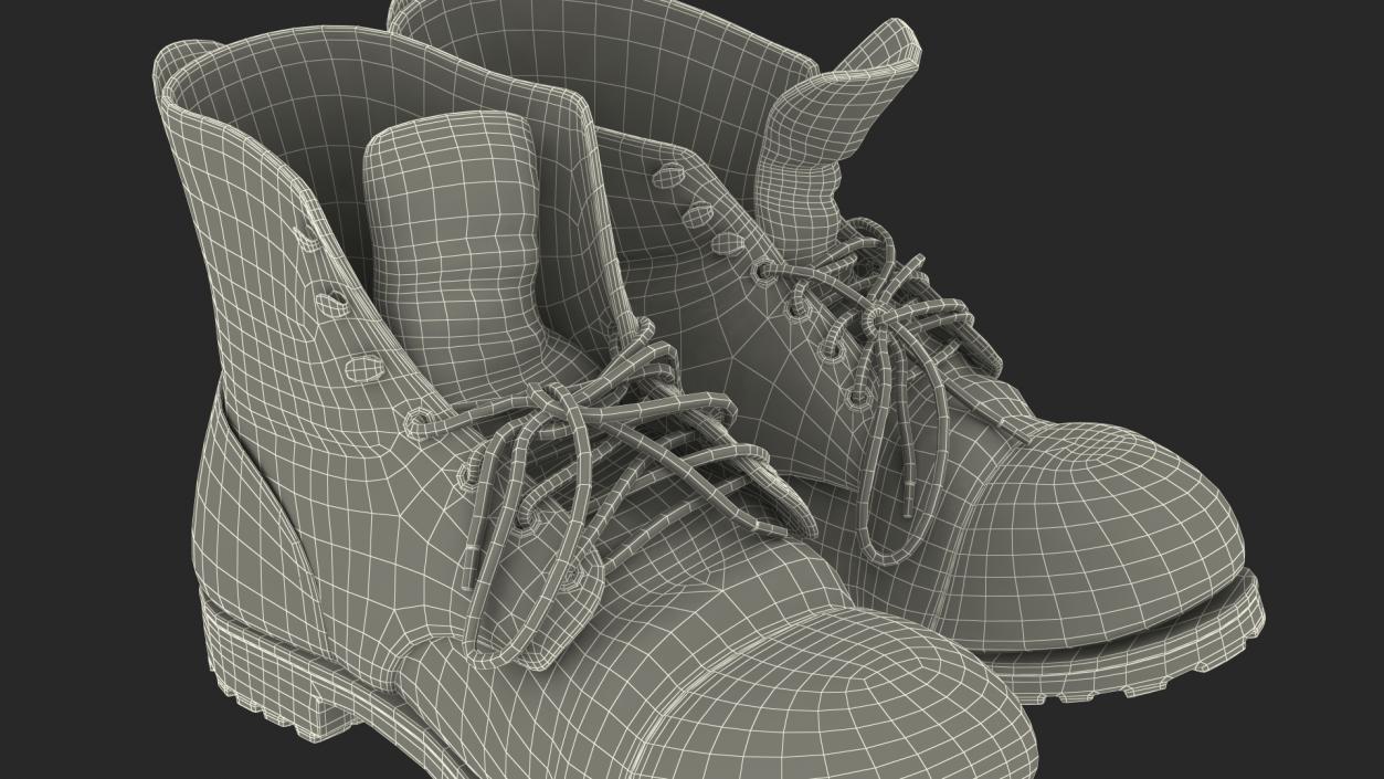 Old Boots 3D model