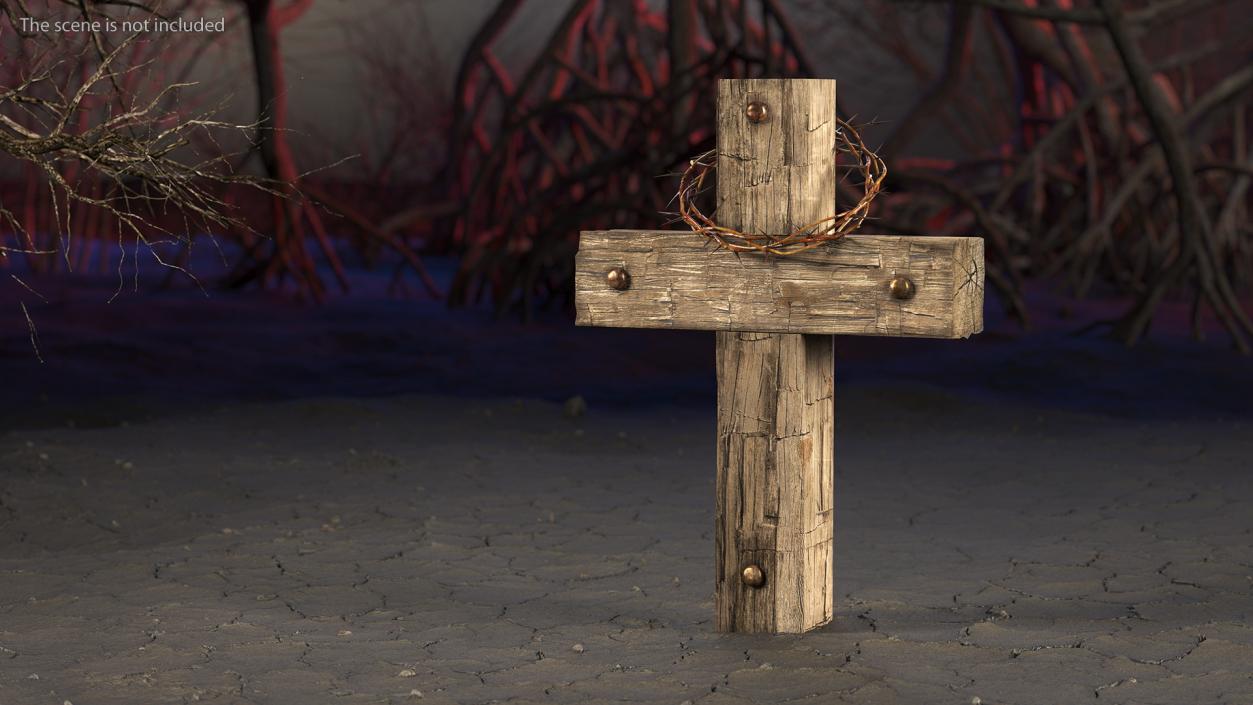 3D Cross with Crown of Thorns